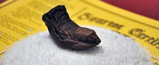 Is That a Toe in My Drink? Here’s the Story of the Mummified-Toe Cocktail!