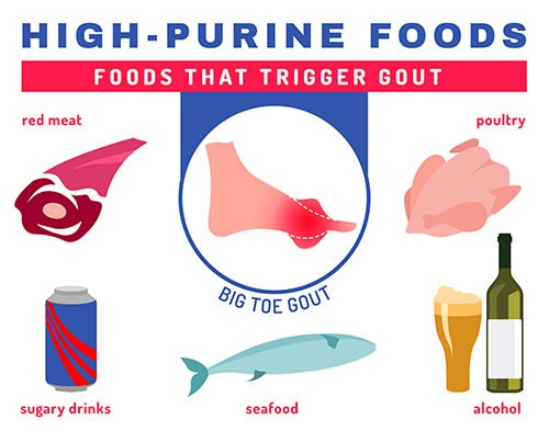 High Purine Foods - Gout