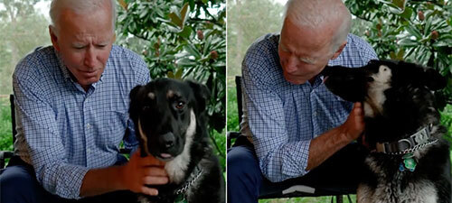 Biden Gets Foot Stress Fracture Playing with Dog, How Common is This?