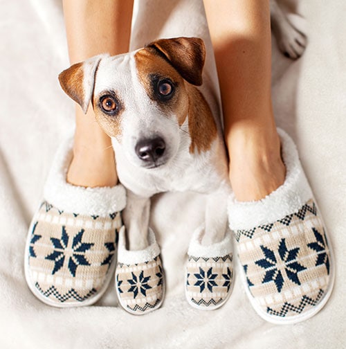 Woman and dog in matching slippers
